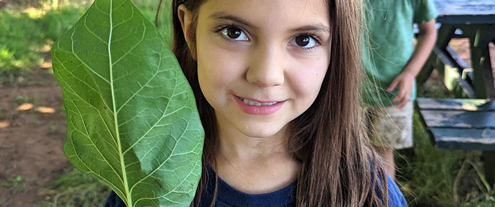 non-stop-action-plus-outdoor-play-img-v2 Small Girl holding up a leaf outside