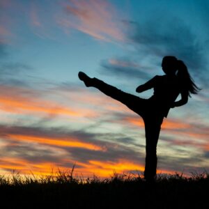 kickboxing get fit and learn self defense at the summit 4