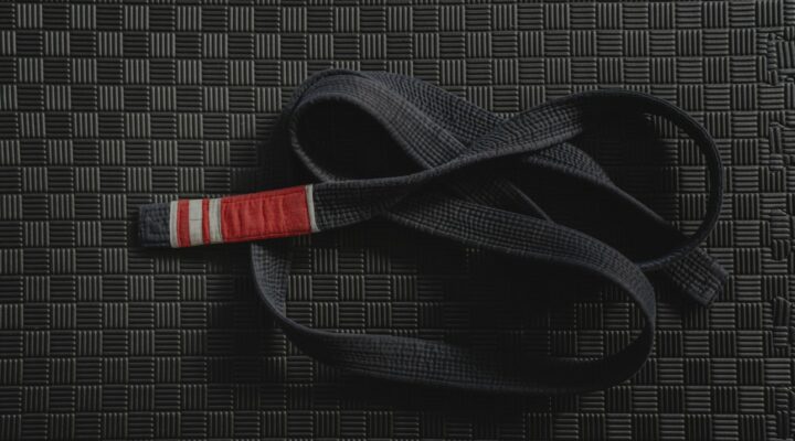 train like a champion the comprehensive martial arts programs at the summit